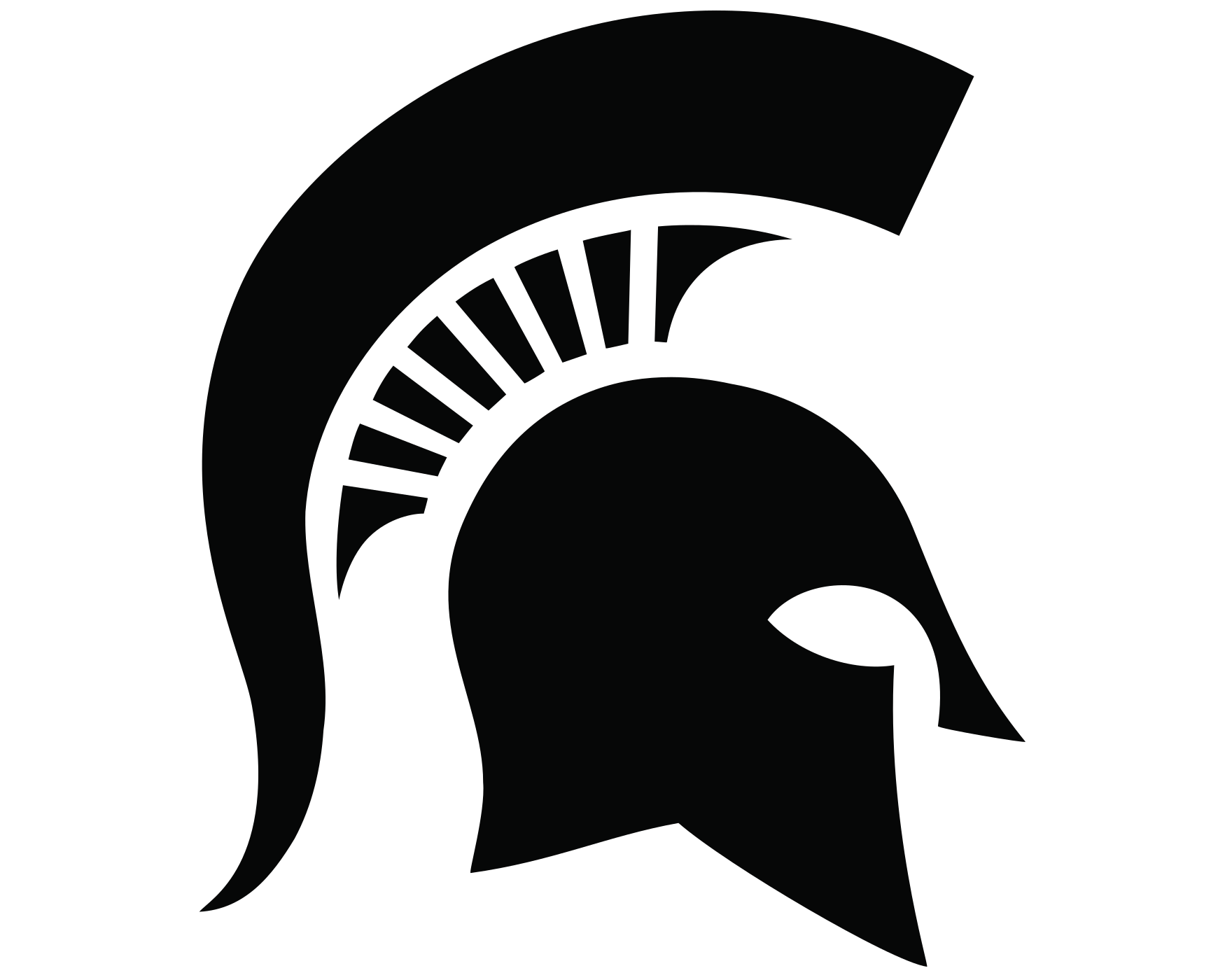 michigan st logo